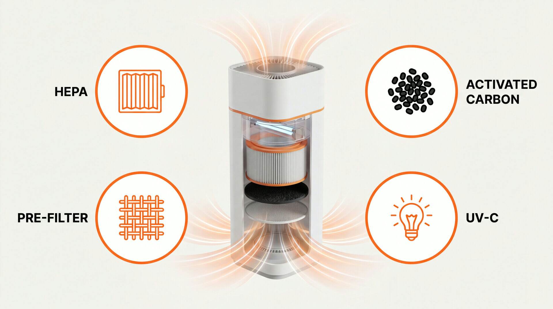 Best Air Purifier For Mold: key zones