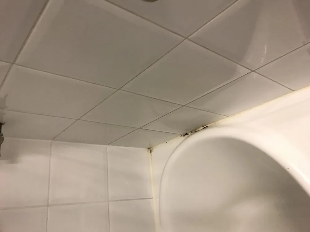 Black mold in a bathroom ceiling corner