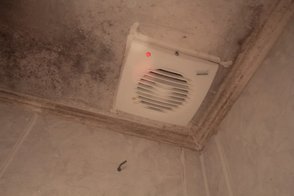 Black mold spreading around a bathroom ceiling vent