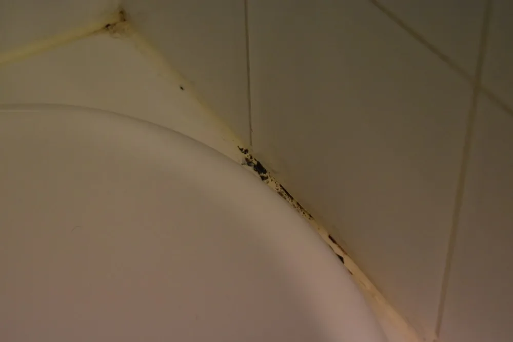 Black mold along the caulk line where a bathtub meets tile