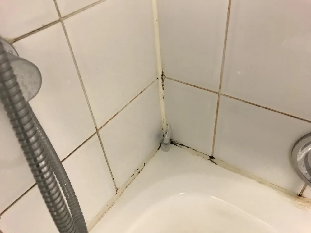Black mold on grout beside a shower fixture