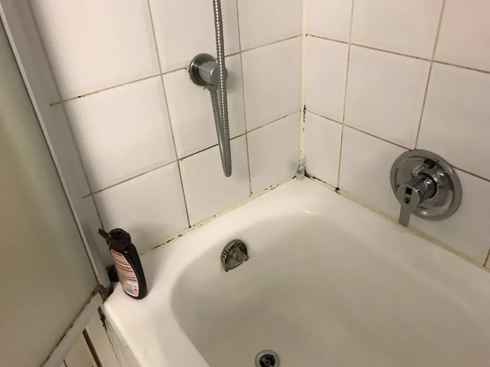 Black mold in a tiled shower corner