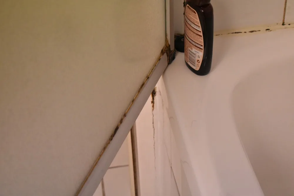 Black mold on the joint between tile wall and tub