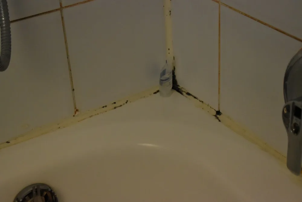 Black mold in the corner seal of a bathtub