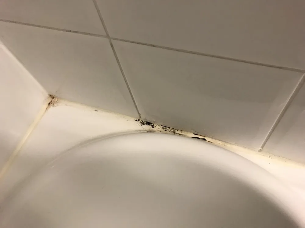 Black mold along a bathtub edge
