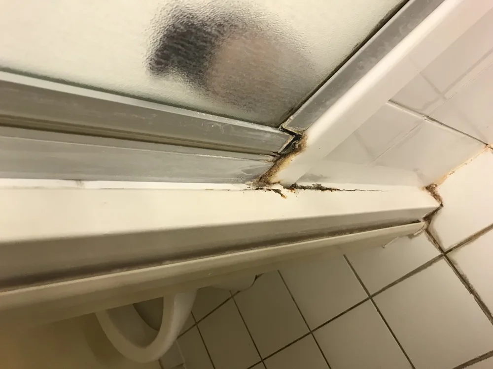 Black mold on a window frame from condensation