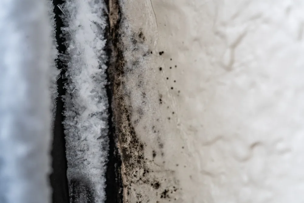 Black mold and frost on a window sill