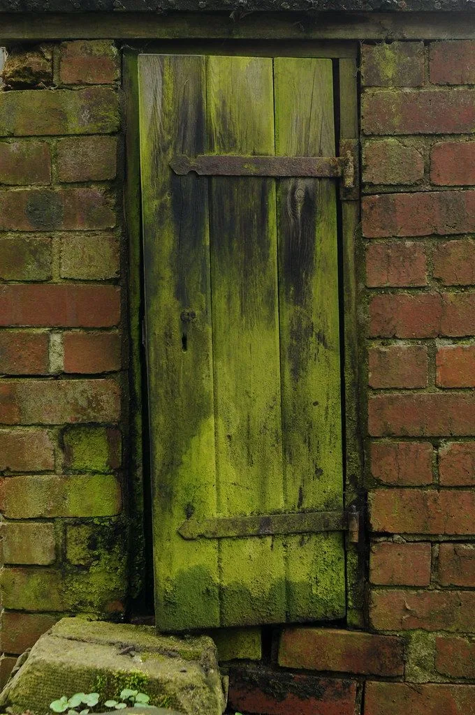 Bright green mold on a painted door frame