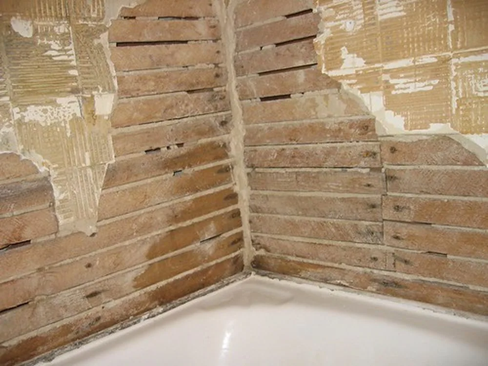 Green-tinged mold on bathroom tile and grout lines