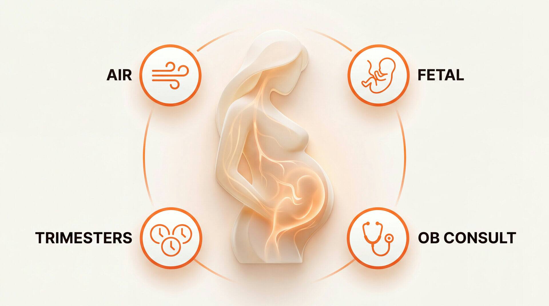 Mold And Pregnancy: key zones