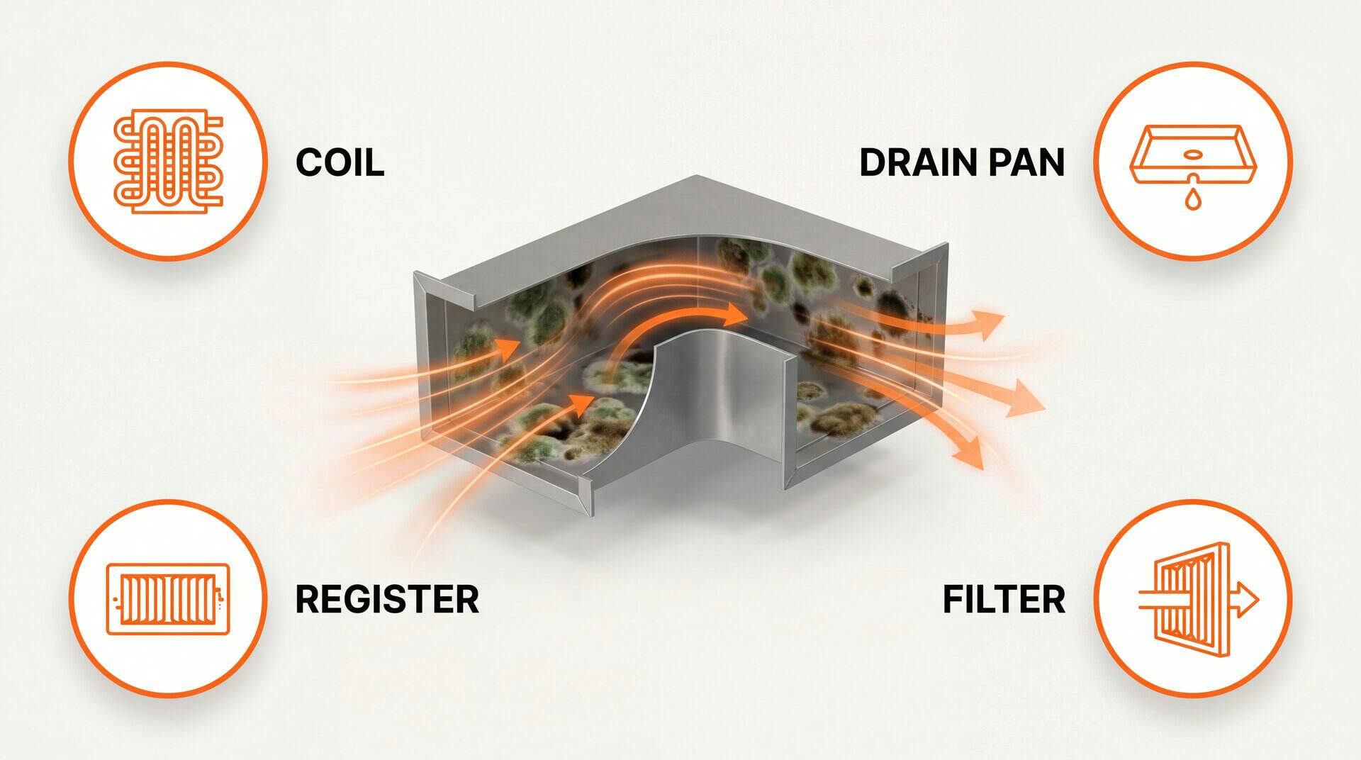 Mold In Air Ducts: key zones