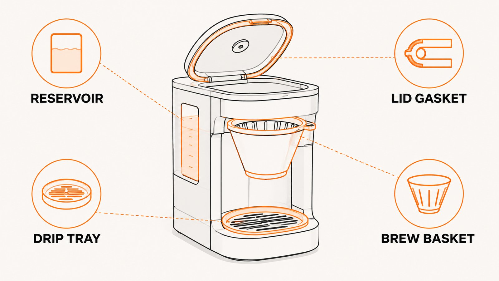 Coffee maker drawn with the reservoir, lid gasket, brew basket and drip tray labeled