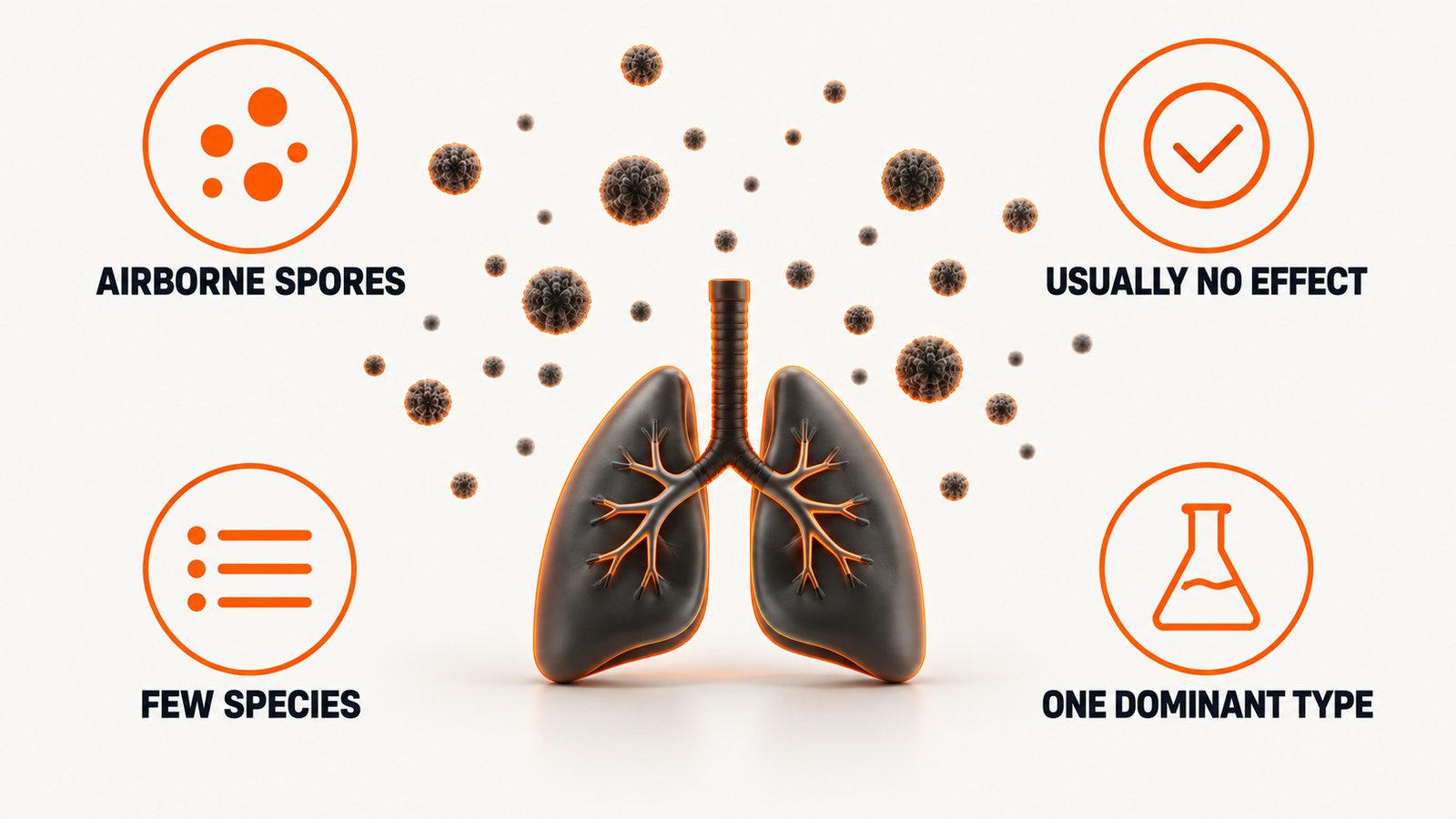 Why breathing in fungal spores is an everyday event rather than an unusual one