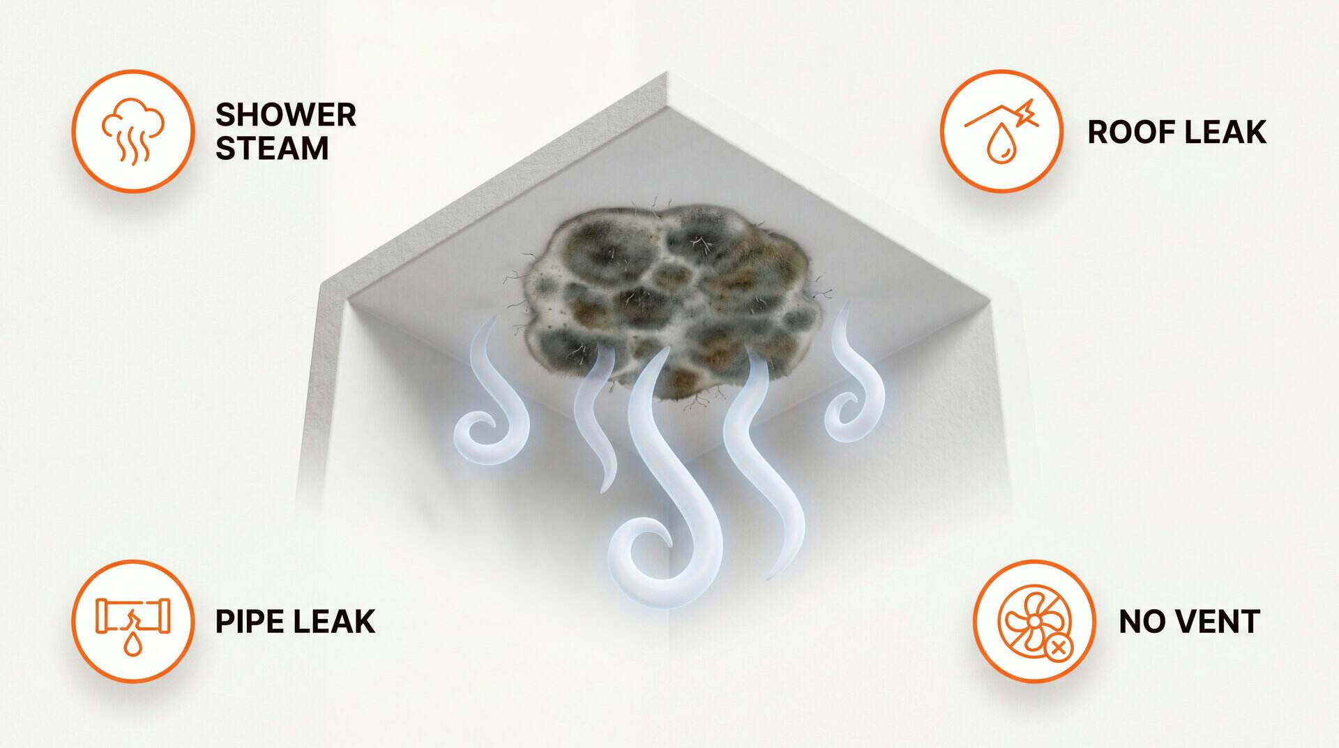 Mold On Ceiling: key zones