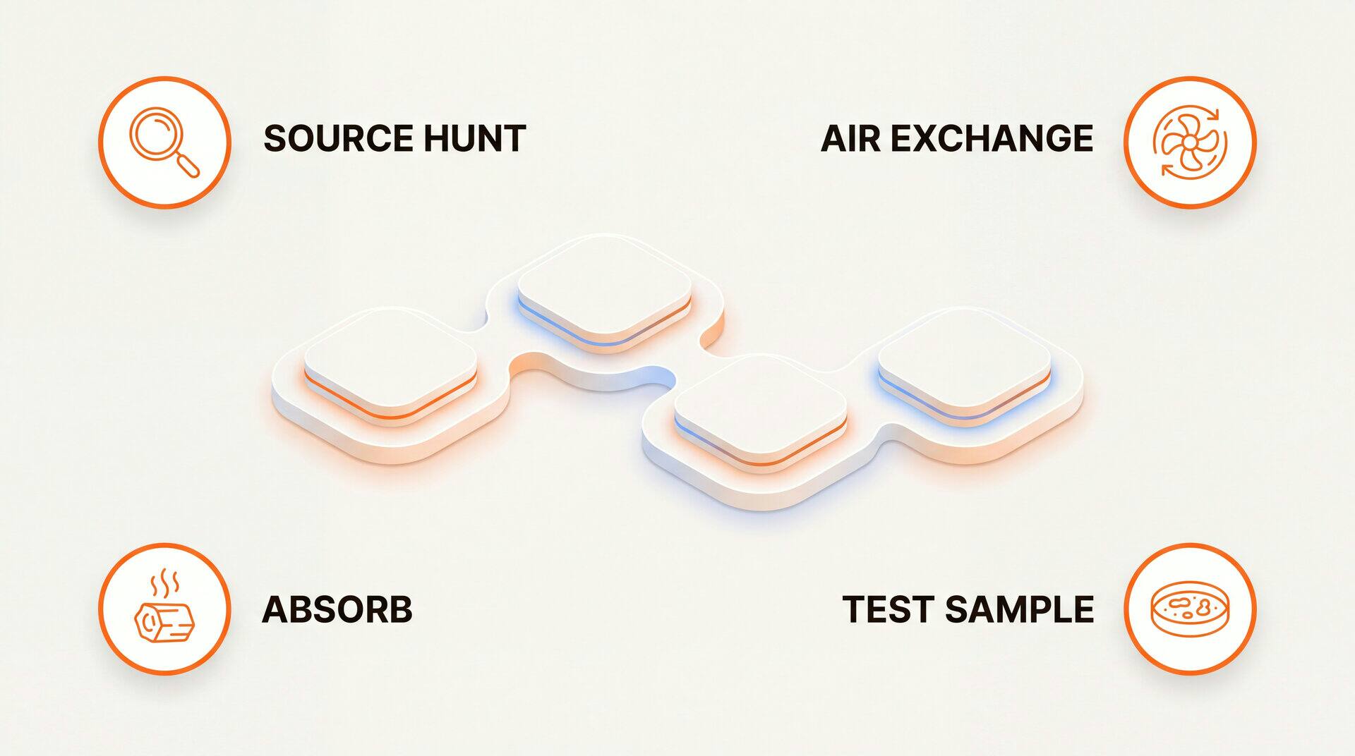 Mold Smell In House: how to fix or prevent