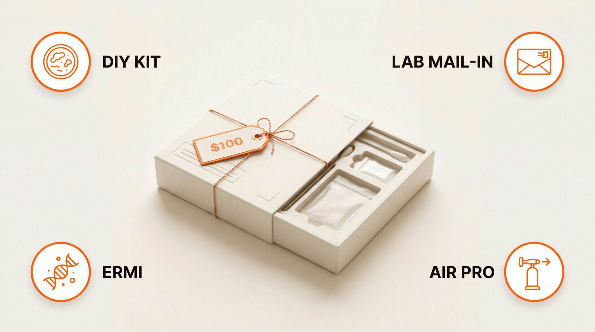 Mold Test Cost: key zones
