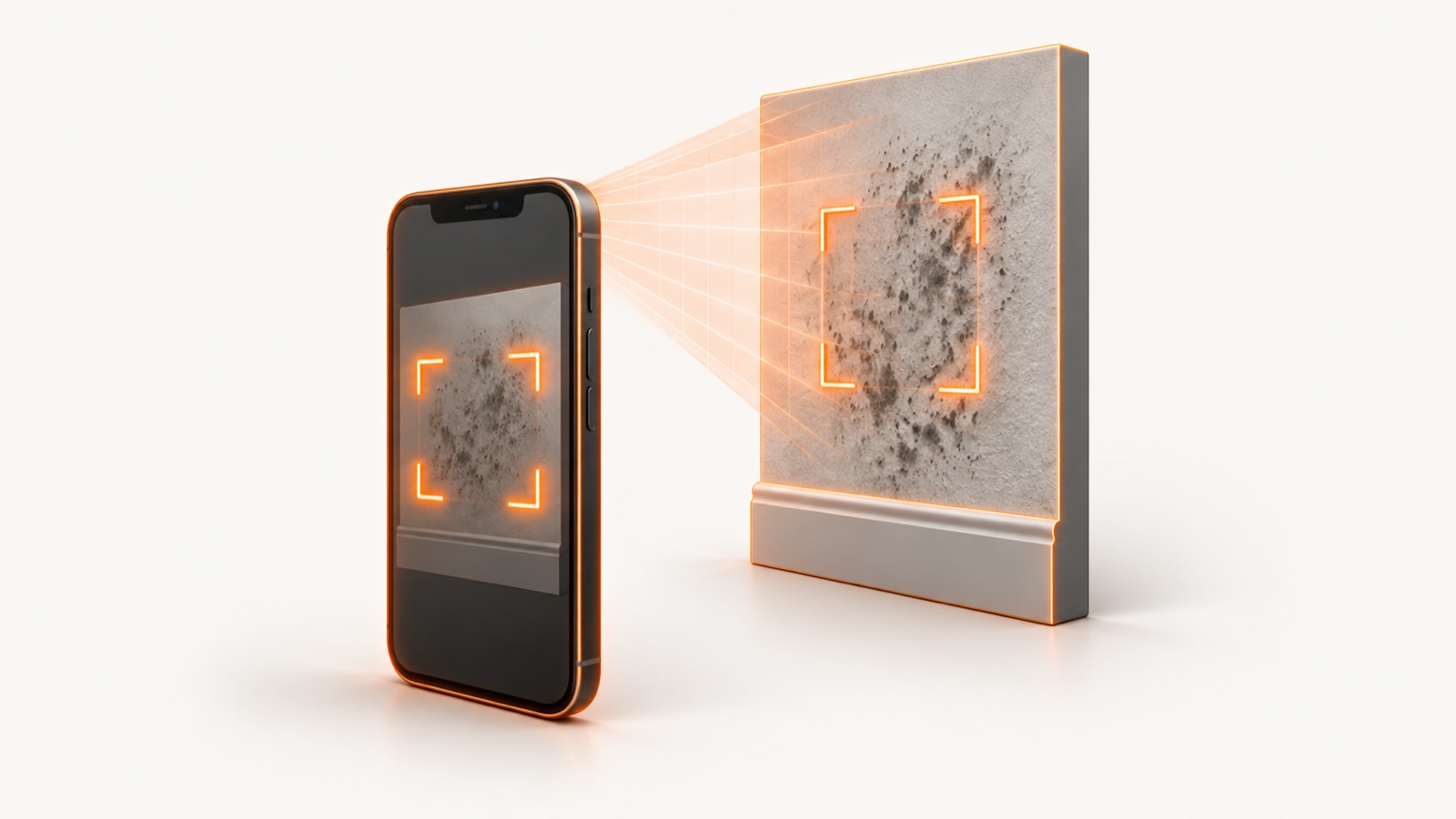 ai mold detection app hero