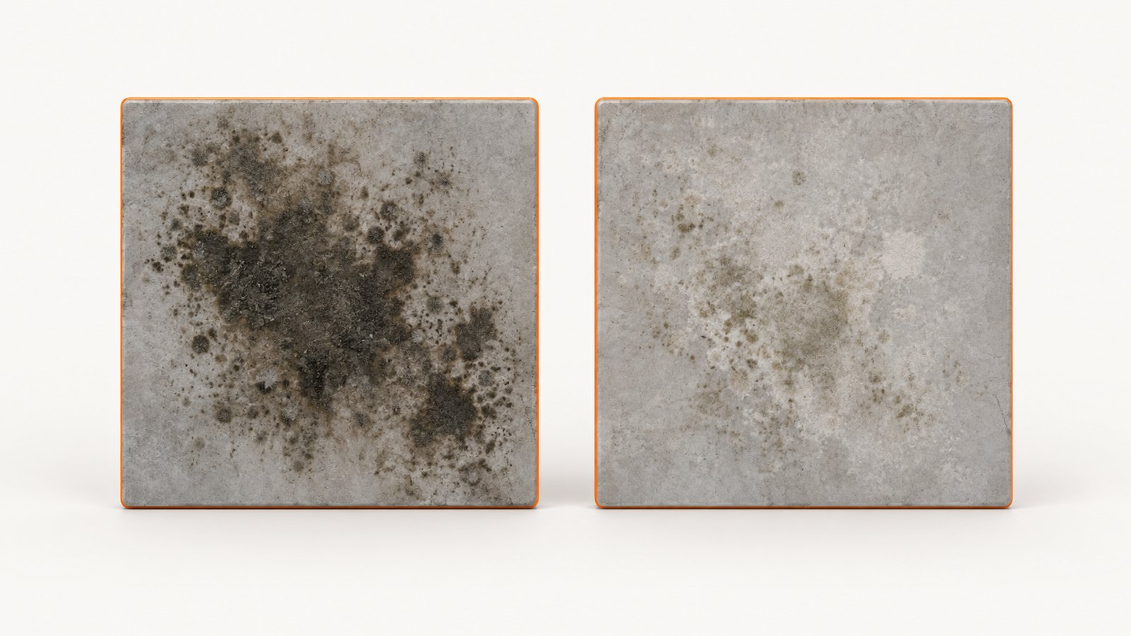 A dark wall patch and a pale wall patch side by side on a plain background