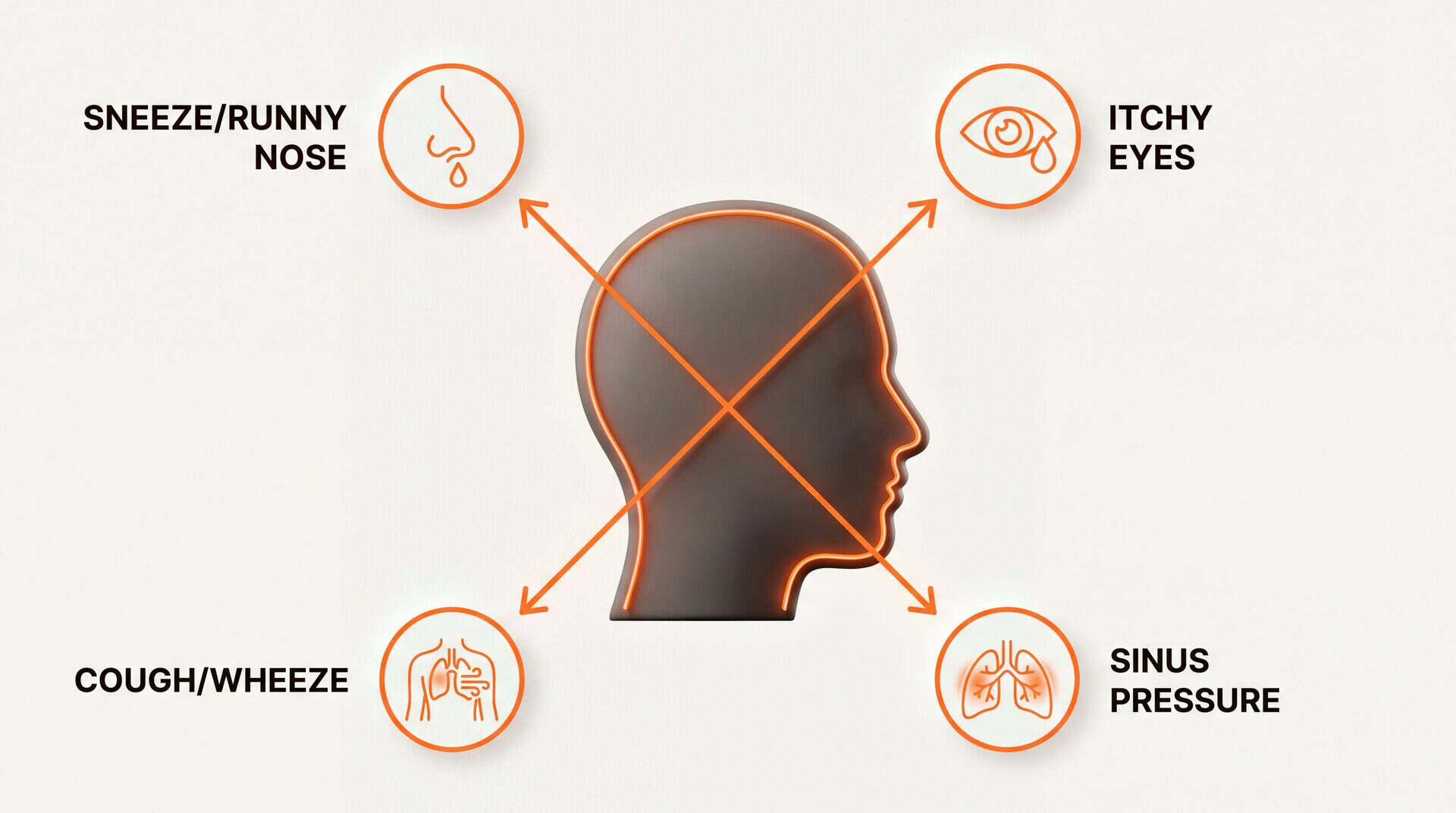 Mold Allergy Symptoms