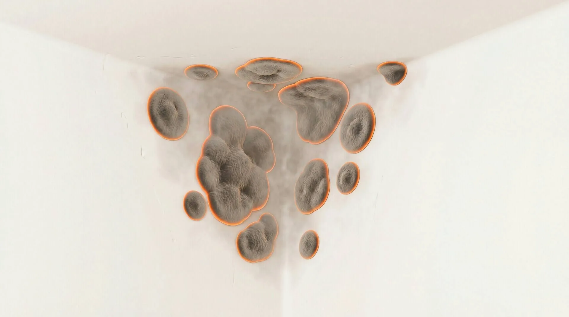 Mold and Health Evidence Guide