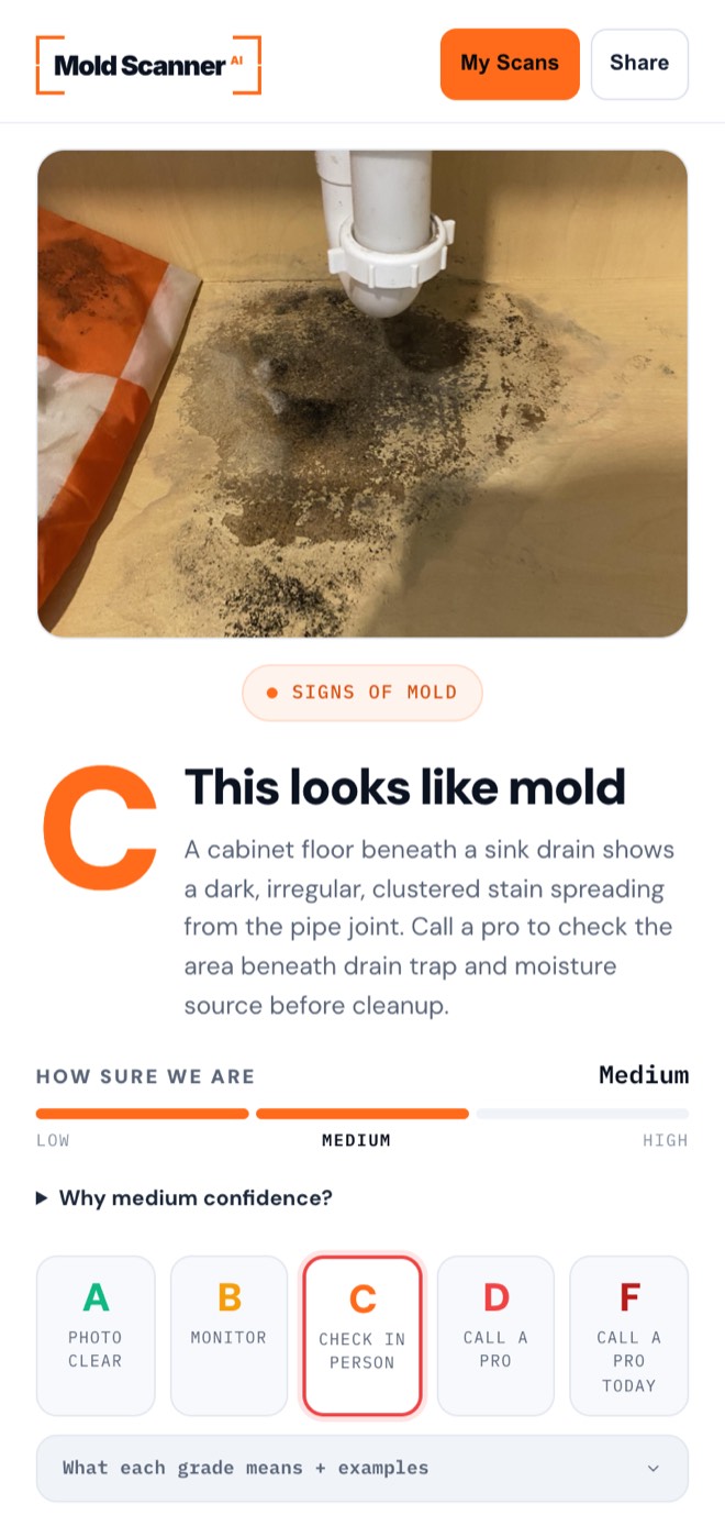 An example report: the scan photo, a Grade C verdict reading This looks like mold, and the confidence band