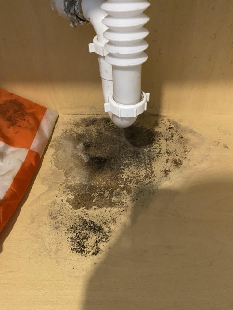 Your bathroom scan photo